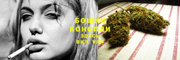ПСИЛОЦИБИНОВЫЕ ГРИБЫ Осинники