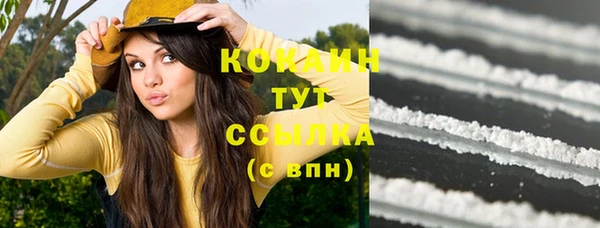 ПСИЛОЦИБИНОВЫЕ ГРИБЫ Осинники