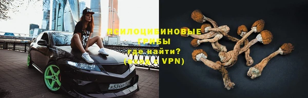 гидра Остров