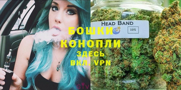 спиды Няндома