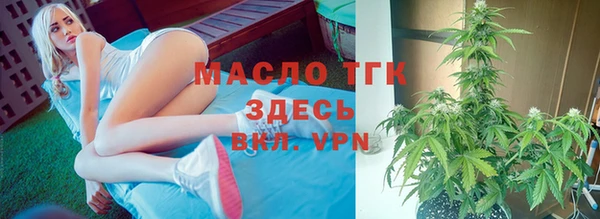 ПСИЛОЦИБИНОВЫЕ ГРИБЫ Осинники