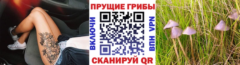 Галлюциногенные грибы мицелий  Ленинск 