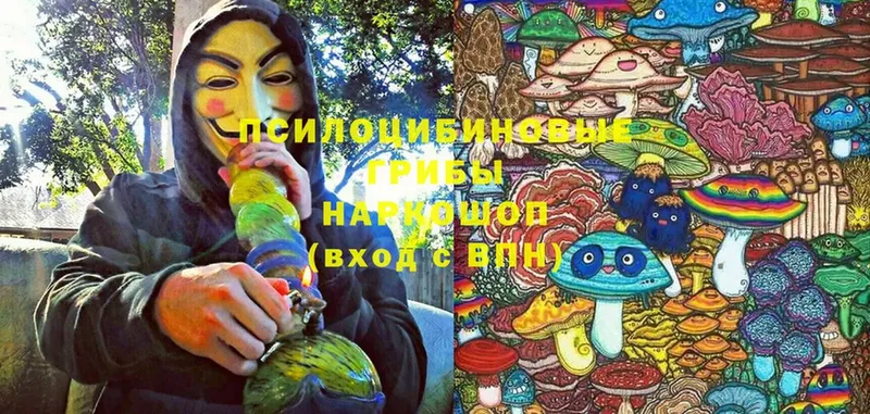 Галлюциногенные грибы MAGIC MUSHROOMS  Ленинск 